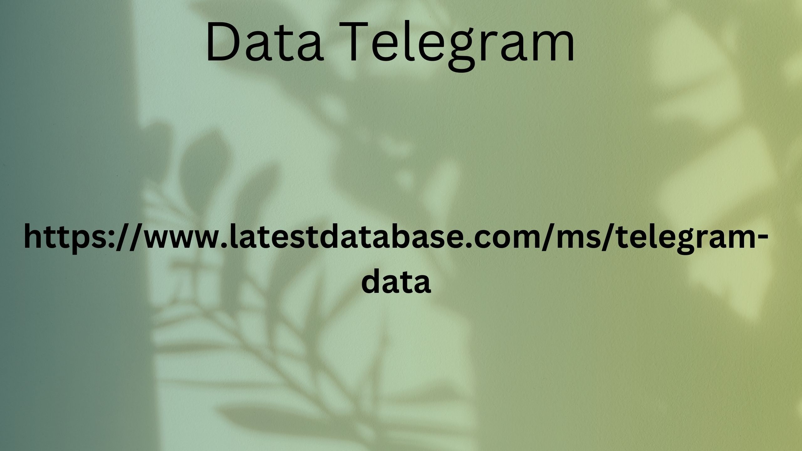 Data Telegram 