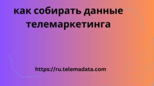 как собирать данные телемаркетинга