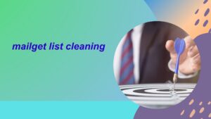 mailget list cleaning