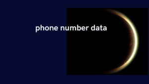 phone number data