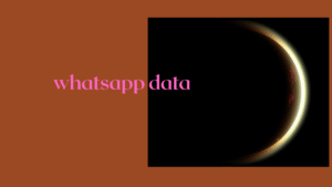 whatsapp data